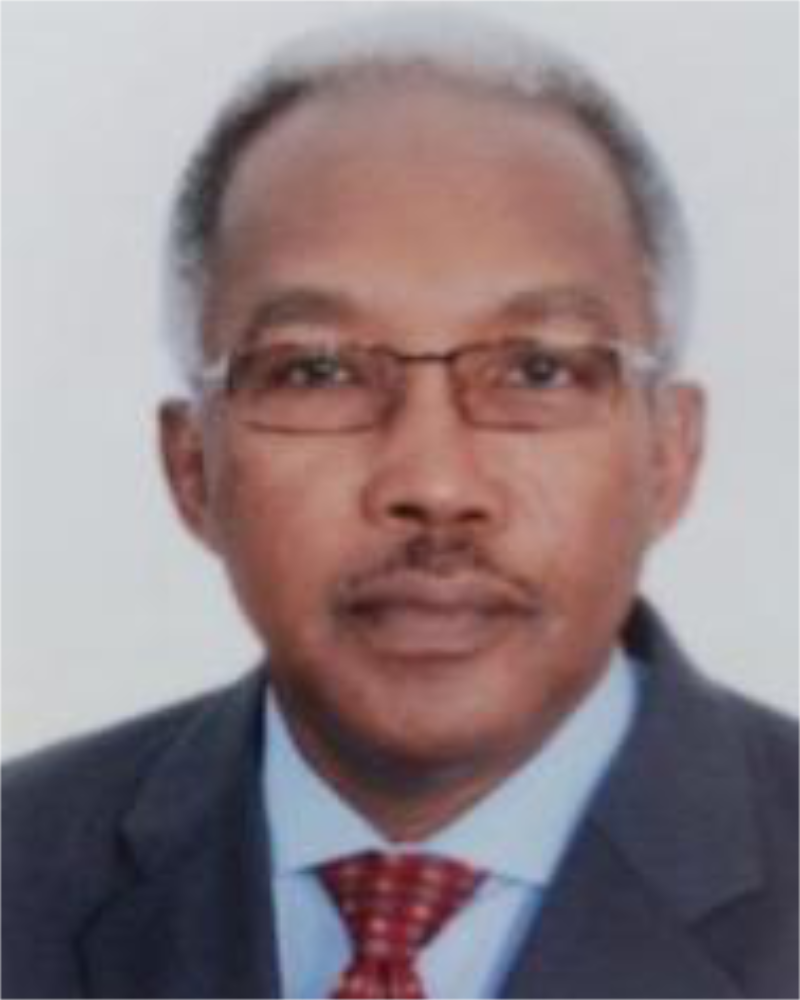 Mr. Siddig Ahmed Mohmed Elgemri